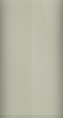 FORD OEM, Touchup Bottle (2oz.)