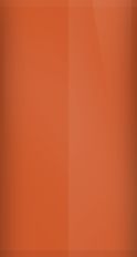 FORD OEM, Touchup Bottle (2oz.)