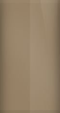 FORD OEM, Touchup Bottle (2oz.)