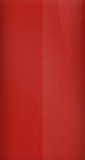 FORD OEM, Touchup Bottle (2oz.)