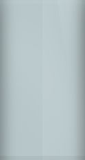 FORD OEM, Touchup Bottle (2oz.)