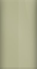 FORD OEM, Touchup Bottle (2oz.)