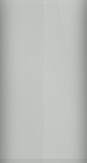 FORD OEM, Touchup Bottle (2oz.)