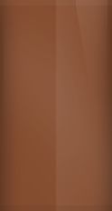 FORD OEM, Touchup Bottle (2oz.)