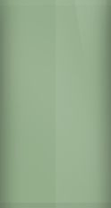 FORD OEM, Touchup Bottle (2oz.)