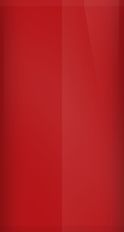 FORD OEM, Touchup Bottle (2oz.)