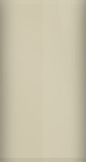 FORD OEM, Touchup Bottle (2oz.)
