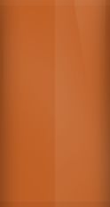 FORD OEM, Touchup Bottle (2oz.)