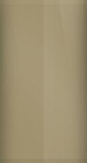 FORD OEM, Touchup Bottle (2oz.)