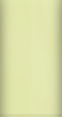 FORD OEM, Touchup Bottle (2oz.)