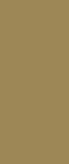 GM 55 Baja Gold Poly – MBC Basecoat, MTK Single-Stage, or Touch-Up Spray Can