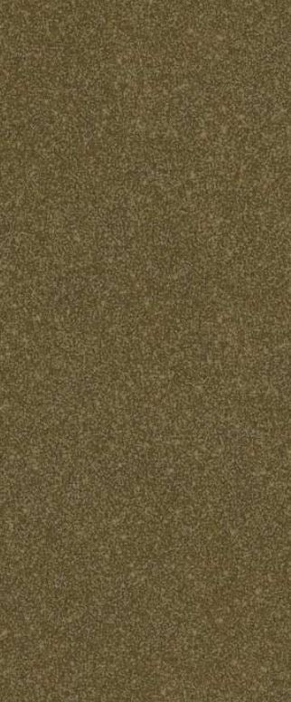 6X1 Color Swatch