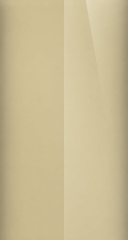 4S2 color swatch