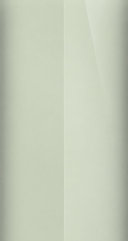 1C9 color swatch