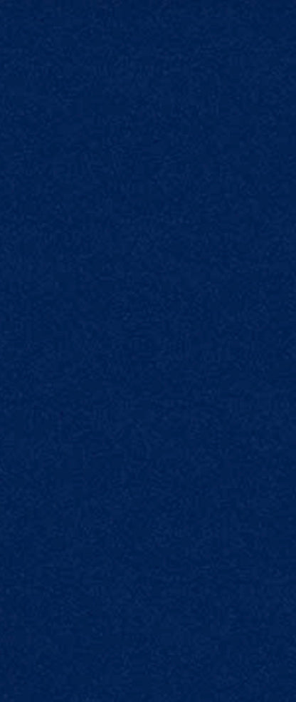 SN Color swatch