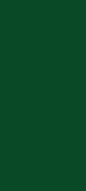 E6A Color Swatch