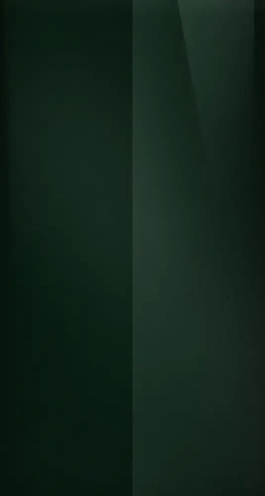 209 Color Swatch