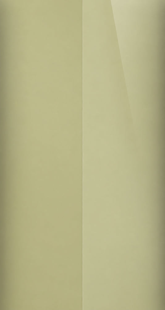 4T8 color swatch
