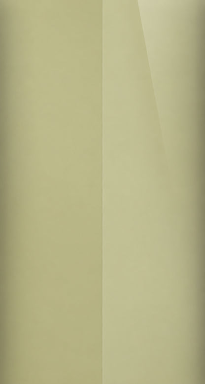 4T8 color swatch