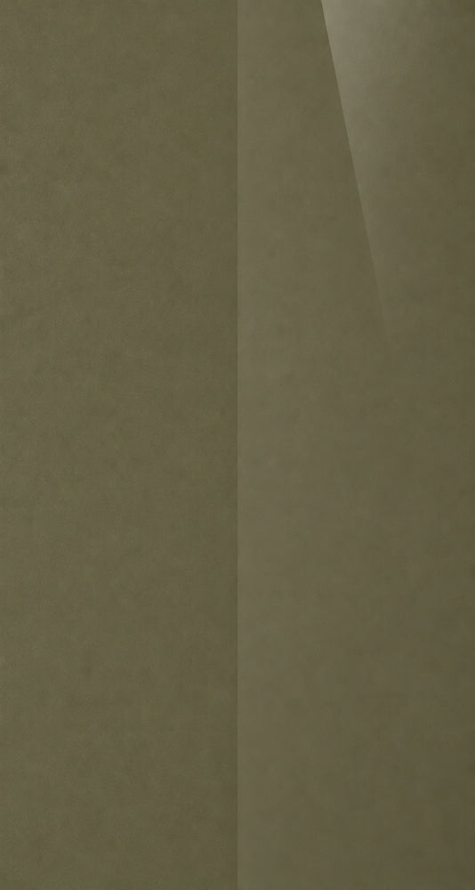 C6P color swatch
