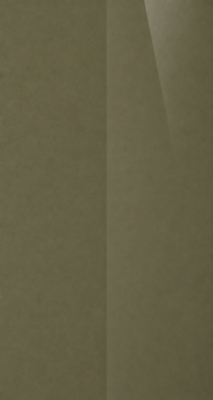 C6P color swatch