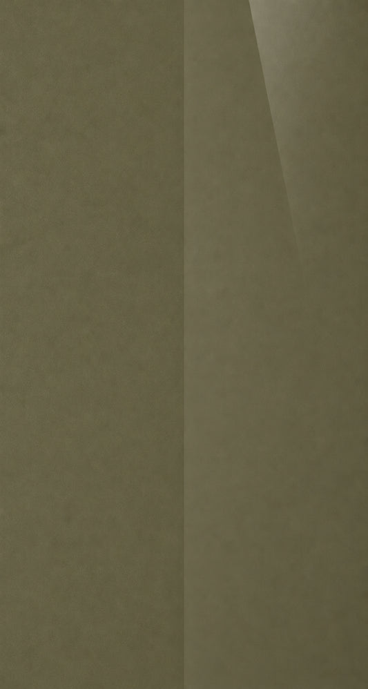 C6P color swatch