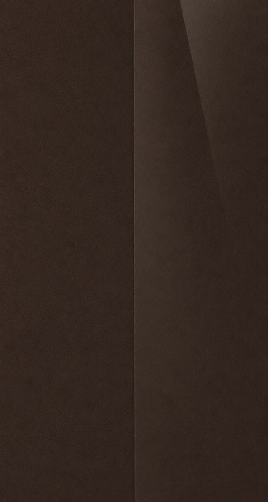 C21 color swatch