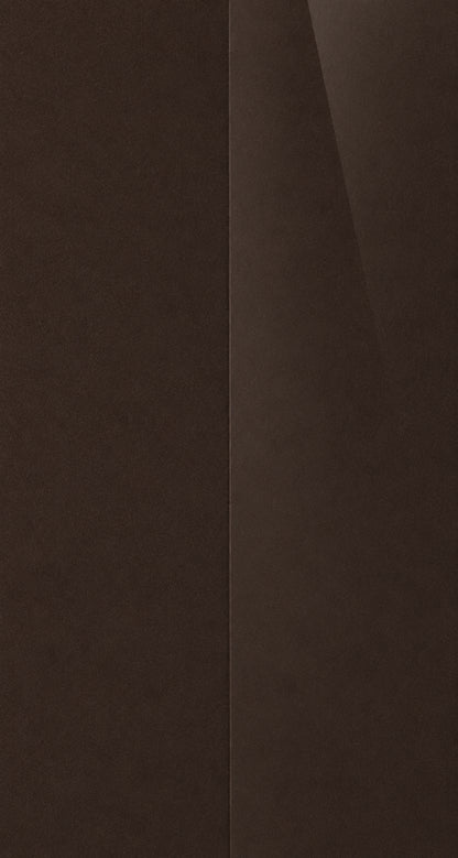C21 color swatch