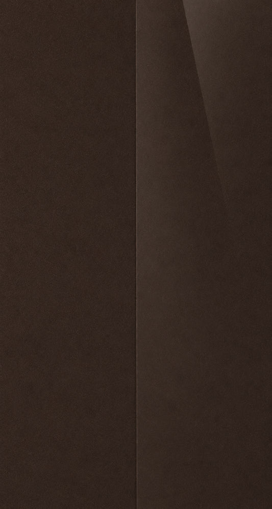 C21 color swatch