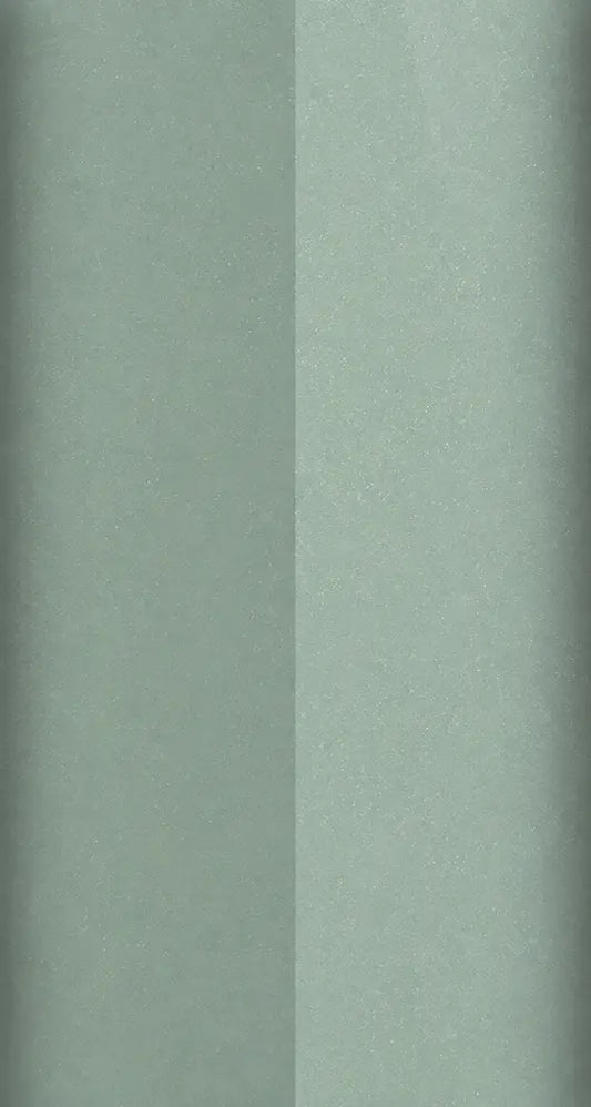BG50M color swatch