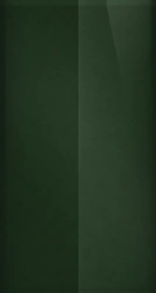 G510P color swatch