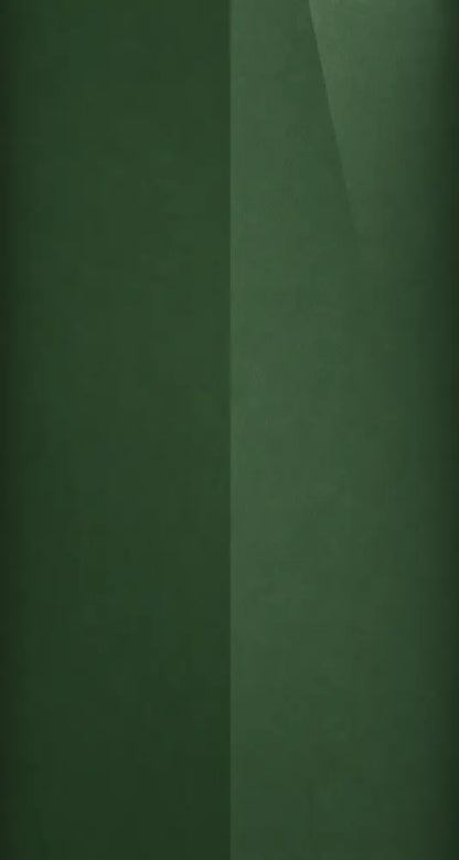 NS color swatch