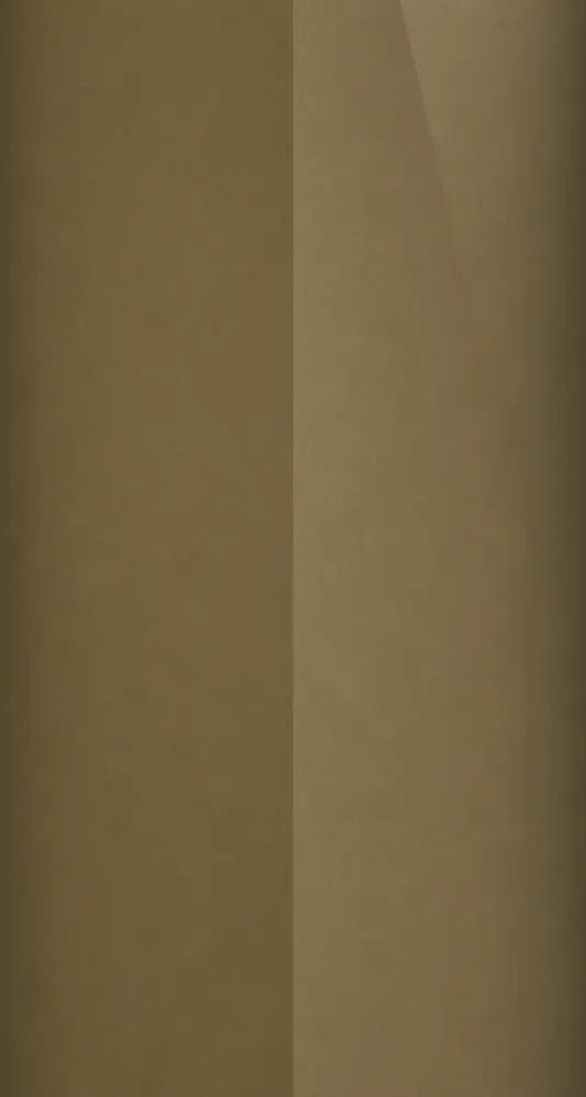 YR607M color swatch