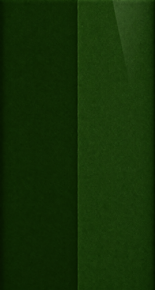 Hyundai X9E Hunter Green automotive paint color swatch