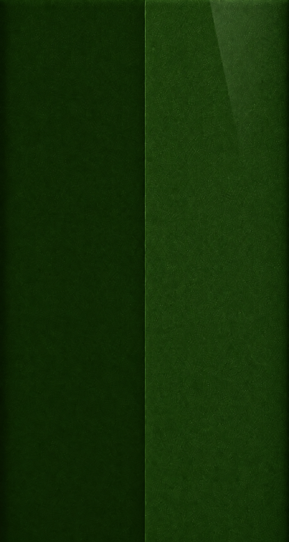 Hyundai X9E Hunter Green automotive paint color swatch