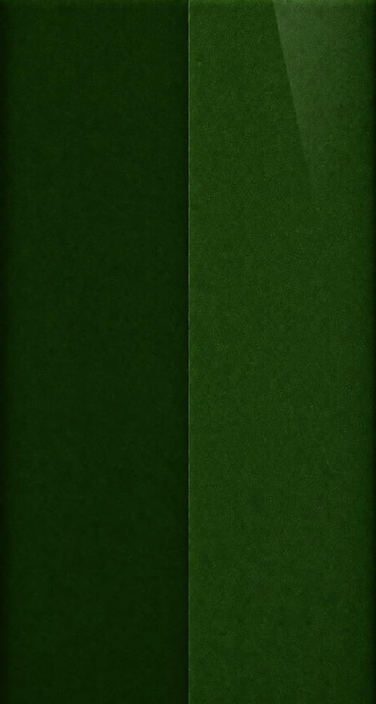 Hyundai X9E Hunter Green automotive paint color swatch