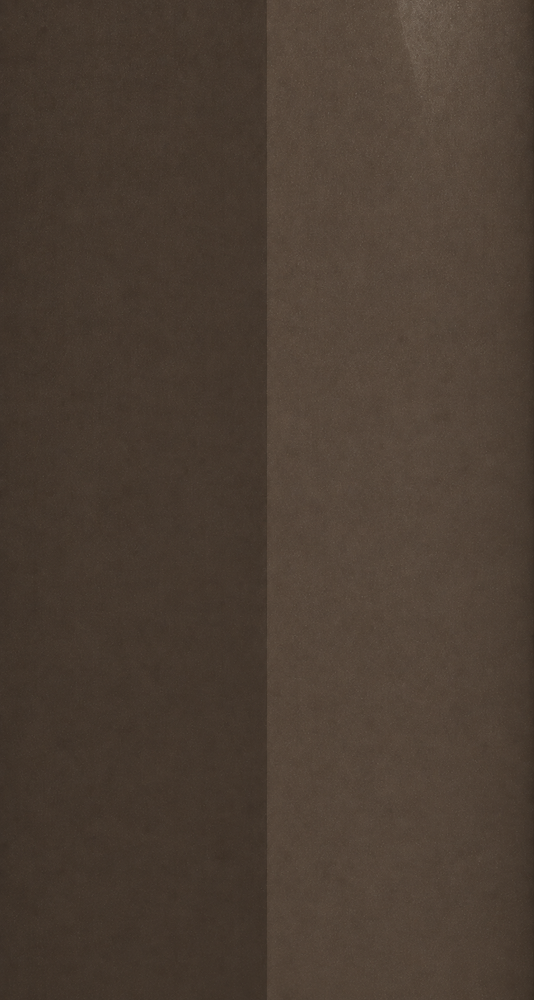 Hyundai YN9 Tan Brown automotive paint color swatch