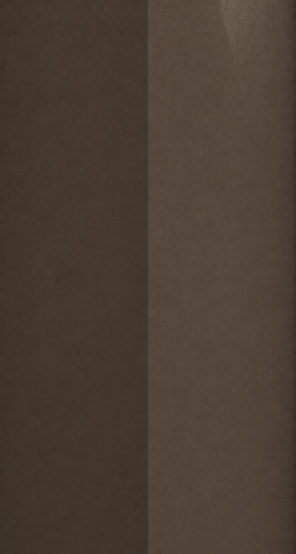 Hyundai YN9 Tan Brown automotive paint color swatch