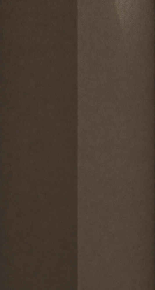 Hyundai YN9 Tan Brown automotive paint color swatch