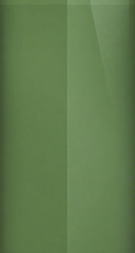 Kia 9L paint color swatch