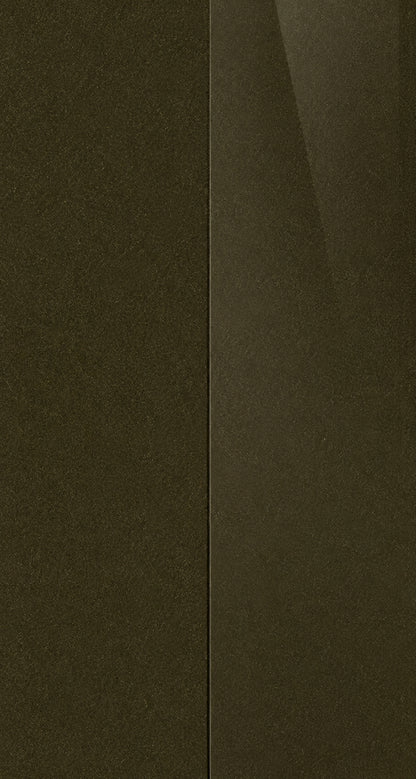 Kia D0 paint color swatch