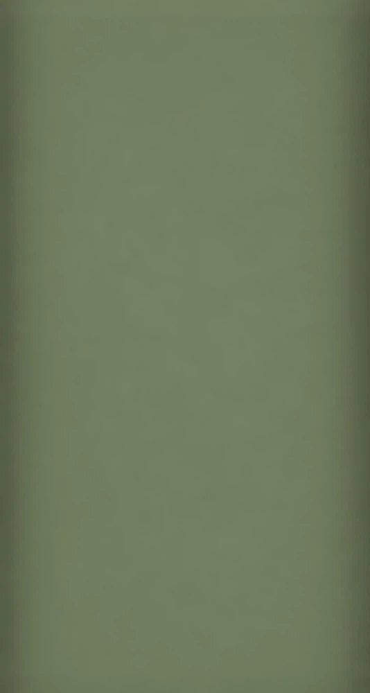 JAA Color Swatch