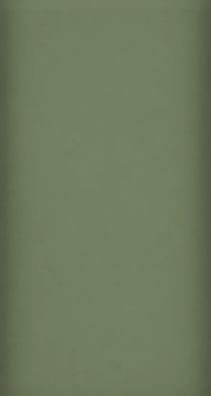 JAA Color Swatch