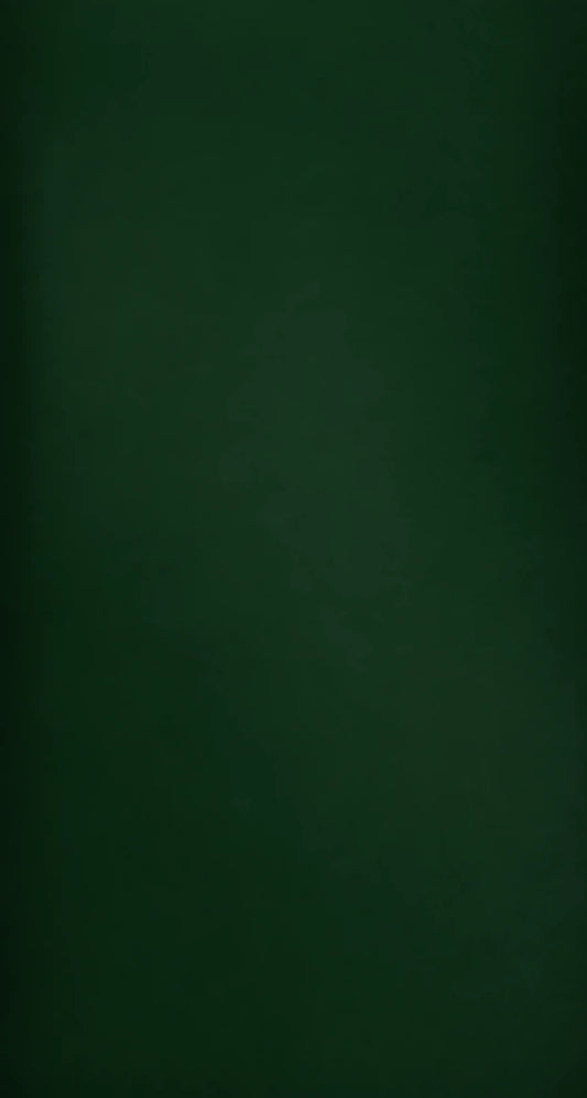 L41 Color Swatch