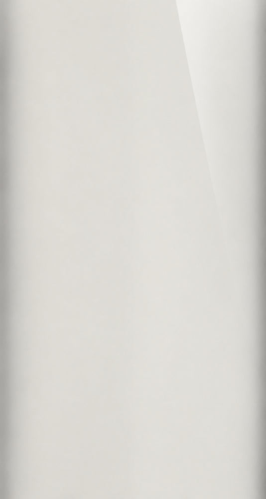 5S color swatch