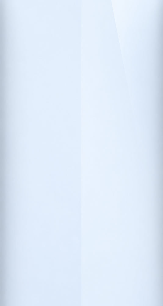 4SS color swatch