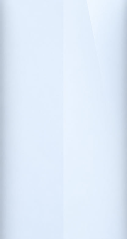 4SS color swatch