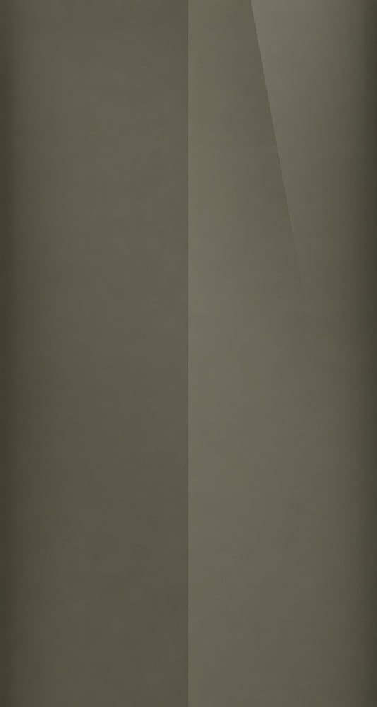 42S color swatch