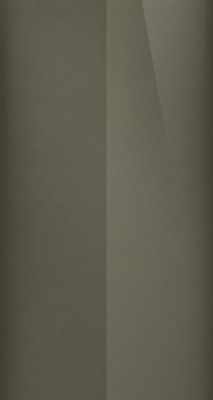 42S color swatch
