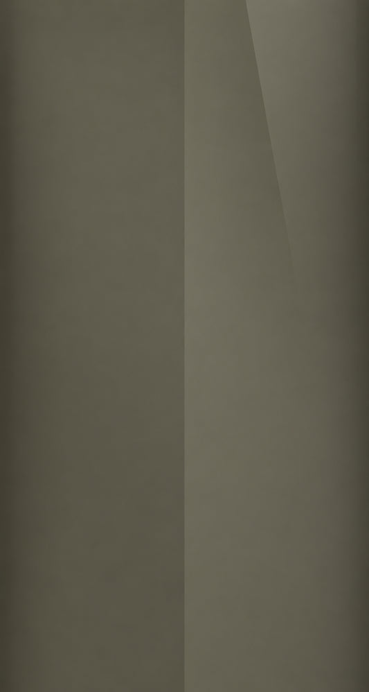 42S color swatch